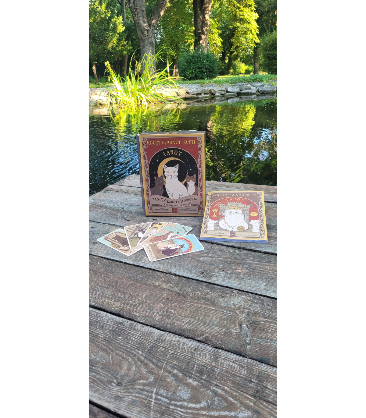 Tarto - Kočky vládnou světu