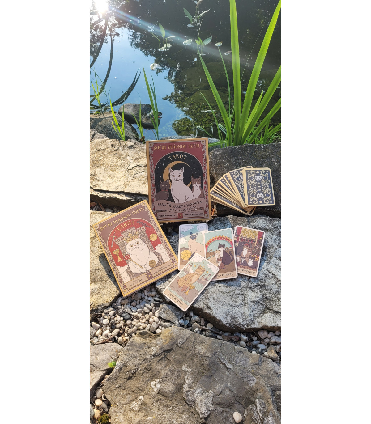 Tarto - Kočky vládnou světu