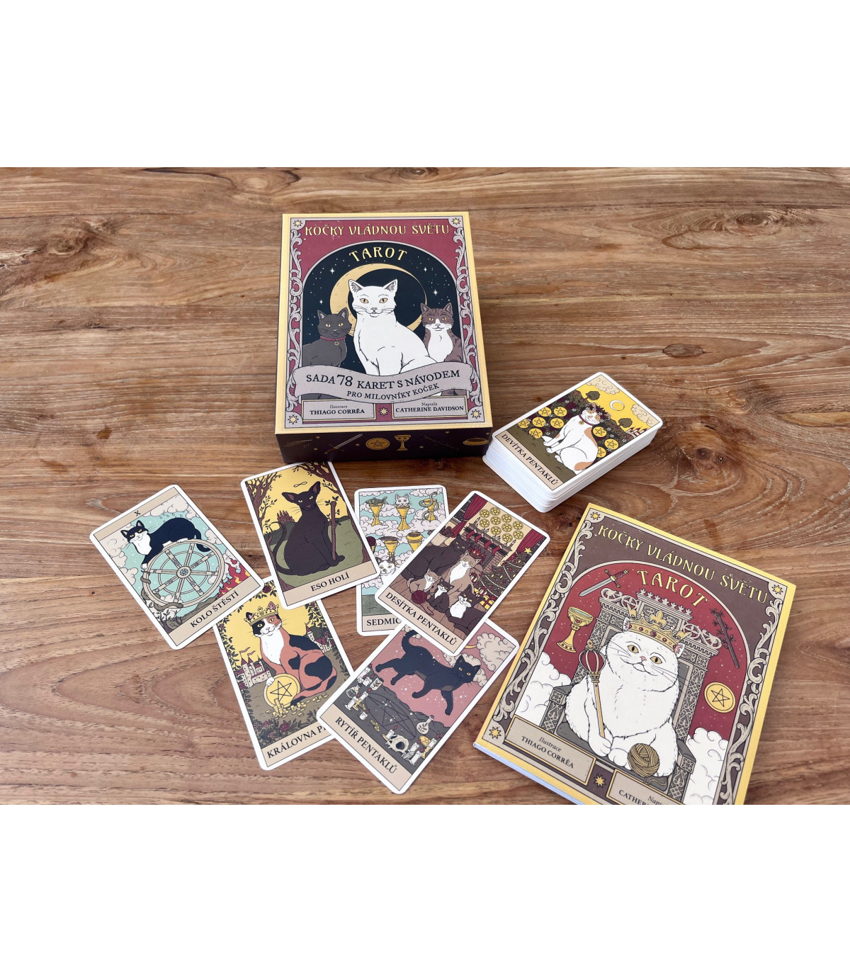 Tarto - Kočky vládnou světu