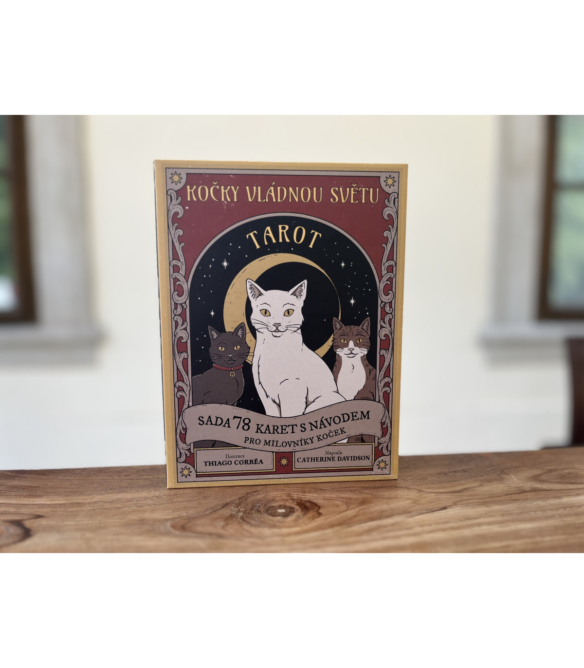 Tarto - Kočky vládnou světu