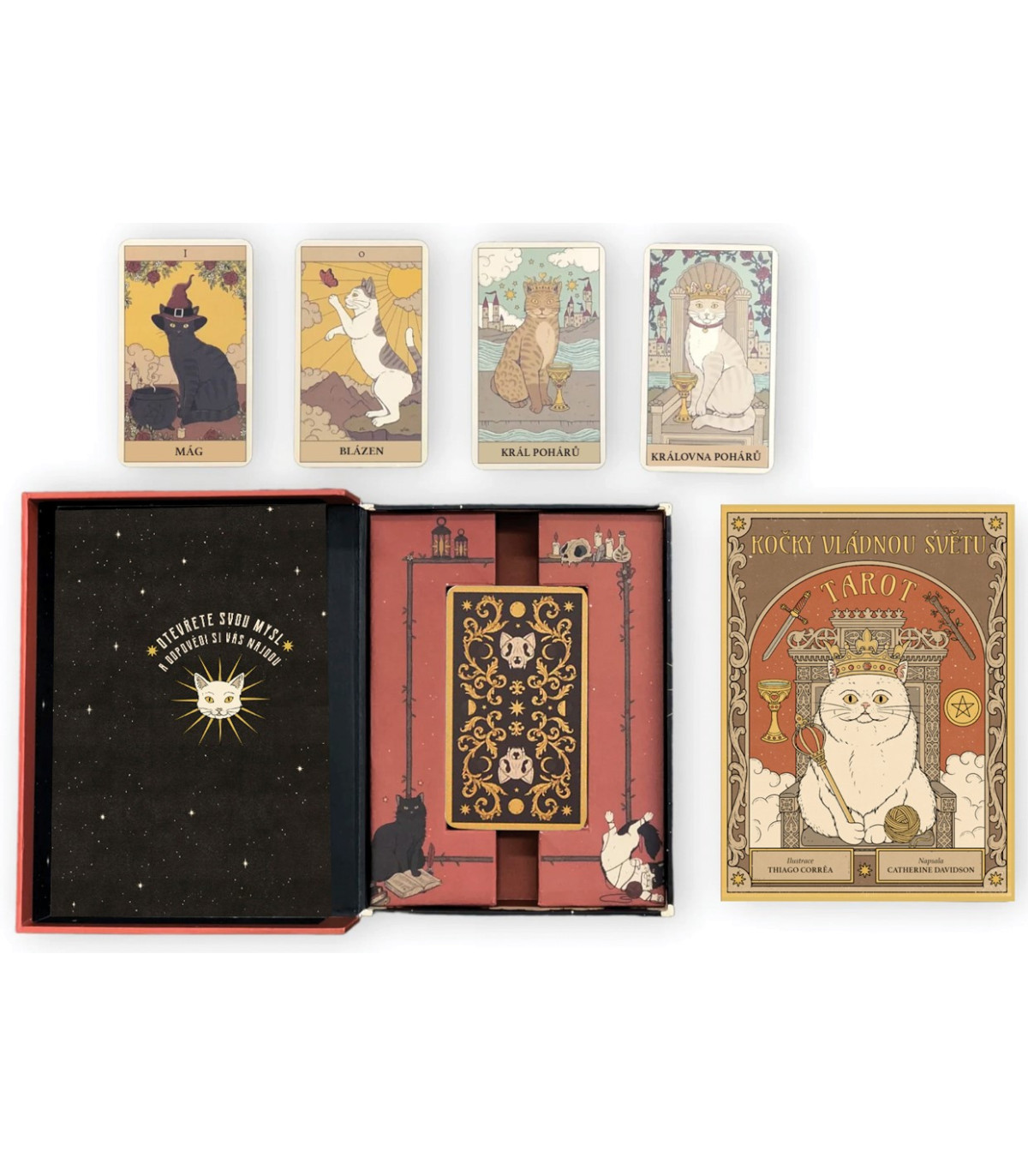 Tarto - Kočky vládnou světu