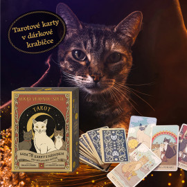 Tarto - Kočky vládnou světu