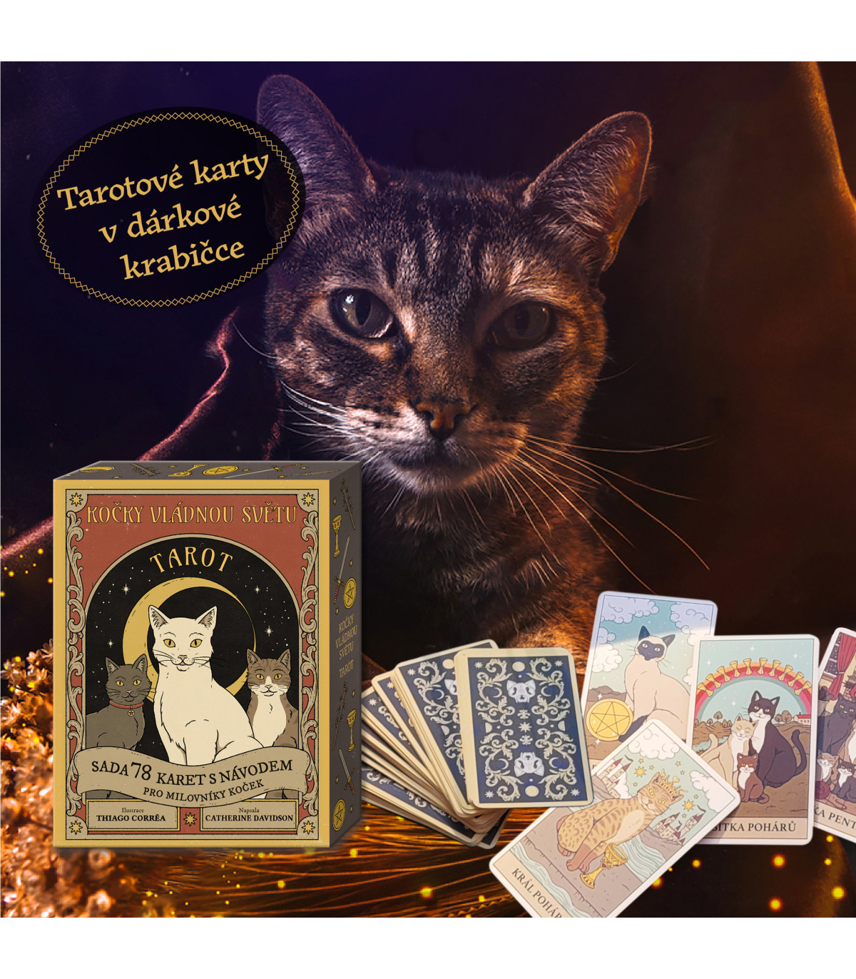 Tarto - Kočky vládnou světu