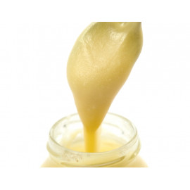 Pohyb v medu - Kloubní výživa na lžičku