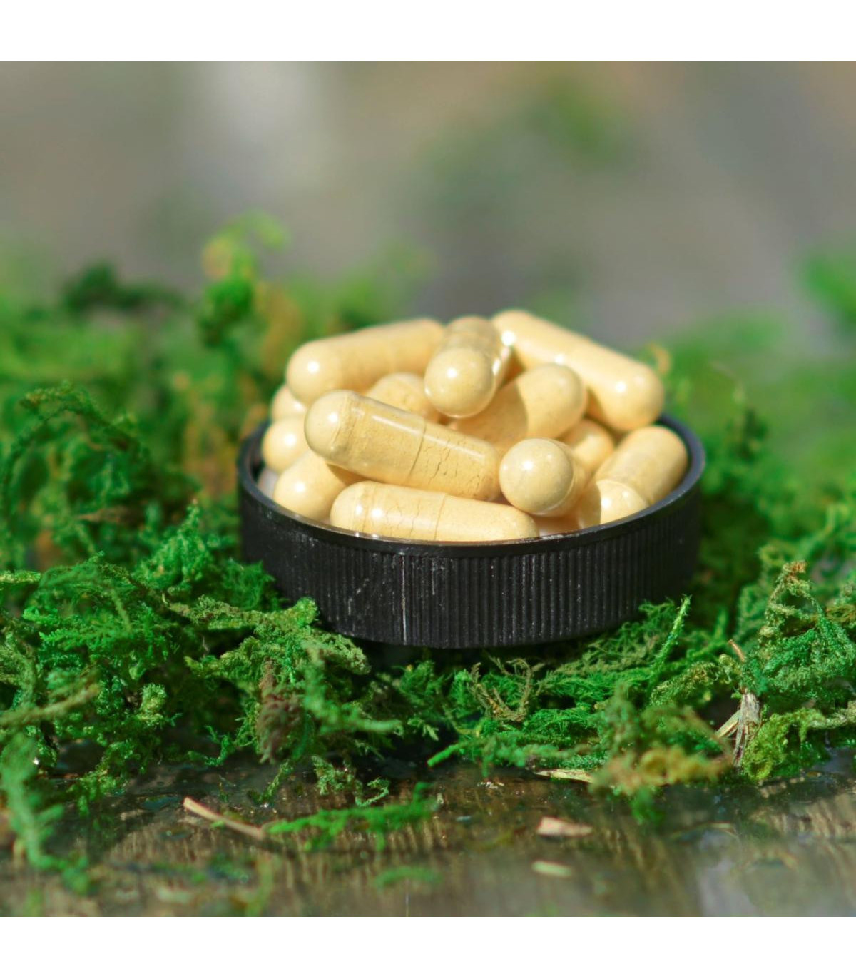 OSTROPESTŘEC MARIÁNSKÝ - játra a detoxikace