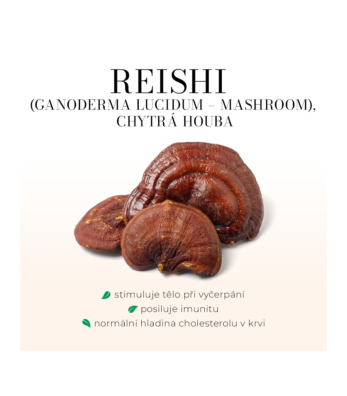 REISHI - imunita, srdce, cholesterol