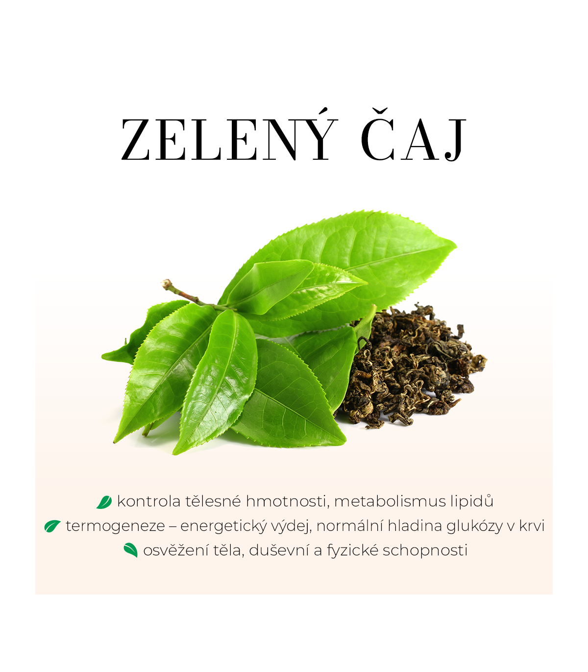 ZELENÝ ČAJ - antioxidant, koncentrace, kontrola tělesné hmotnosti