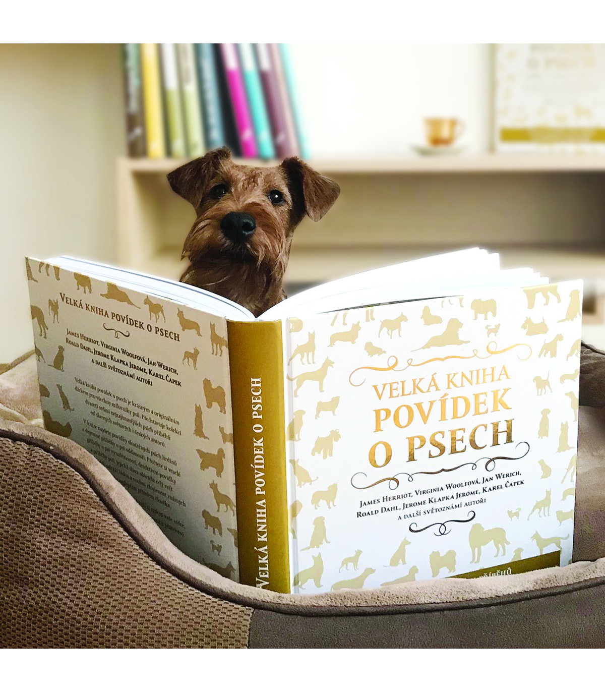 Velká kniha povídek o psech
