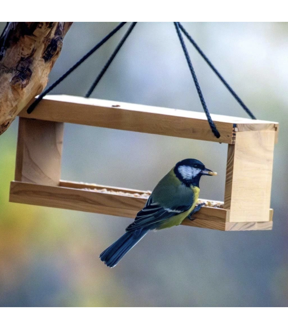 Krmítko s třemi vybranými delikatesami