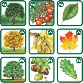 Pexetrio - Poznáš naše hríby?