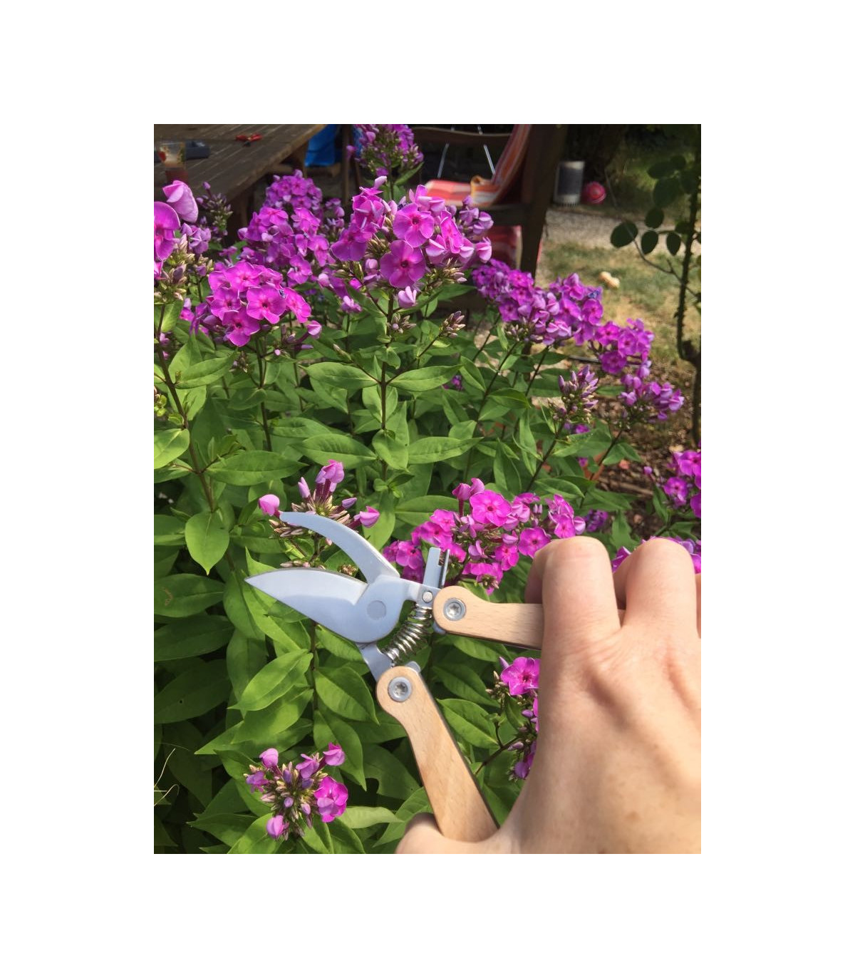 Kapesní multifunkční zahradnické nůžky