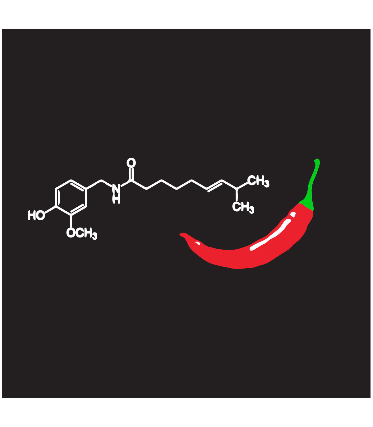Tričko pánské Chilli