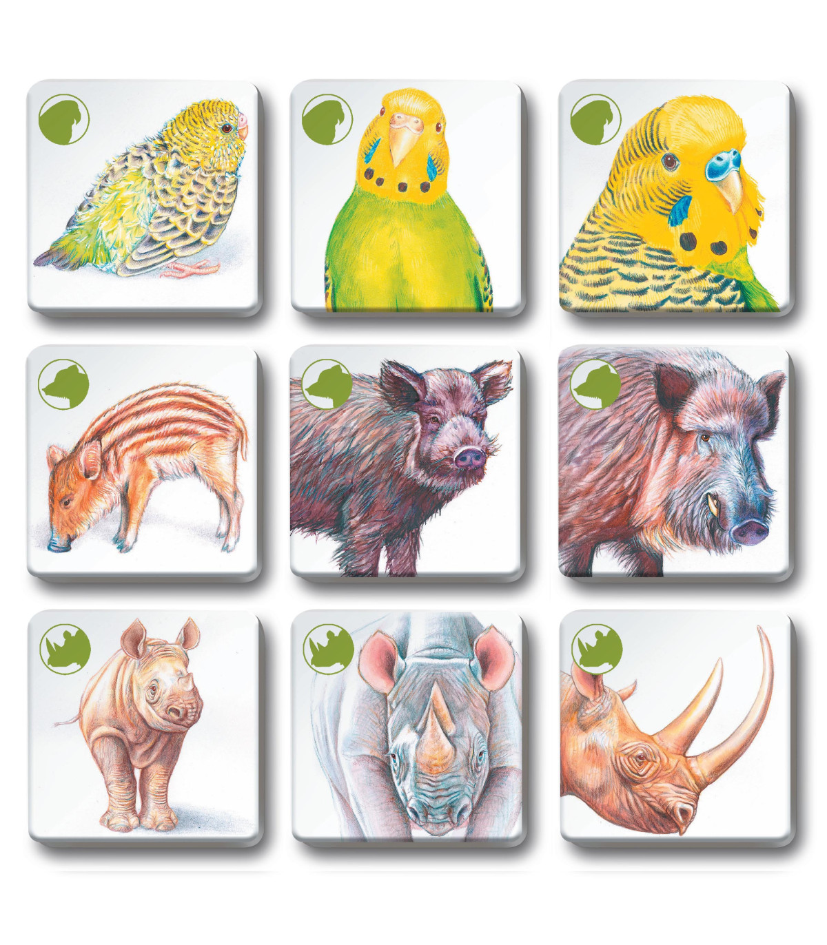 Pexetrio - Zvířecí rodinky