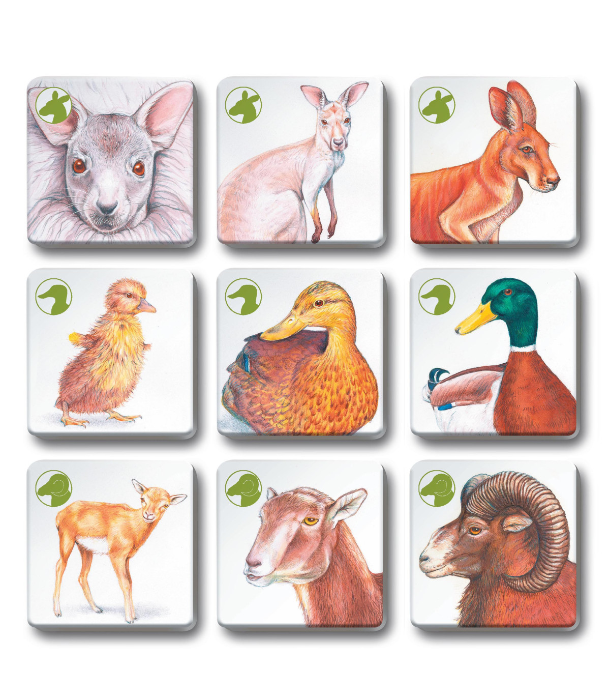 Pexetrio - Zvířecí rodinky