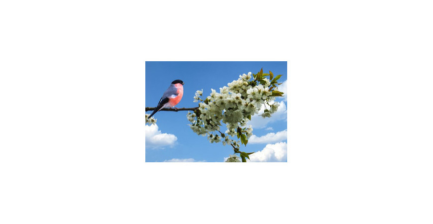 Jar klope na dvere. Ohlási sa významnými dňami poézie a spánku