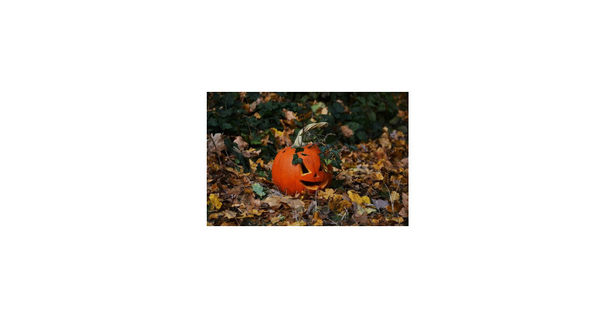 Jeseň ovláda Halloween a Dušičky, ktorému sviatku dávate prednosť?